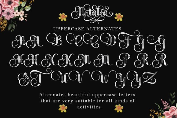 Antalea Outline Font - Preview 6