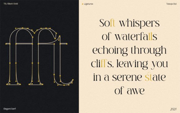 Black Gold Font - Preview 5