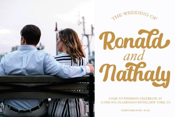 Bosnia Script Font - Preview 4