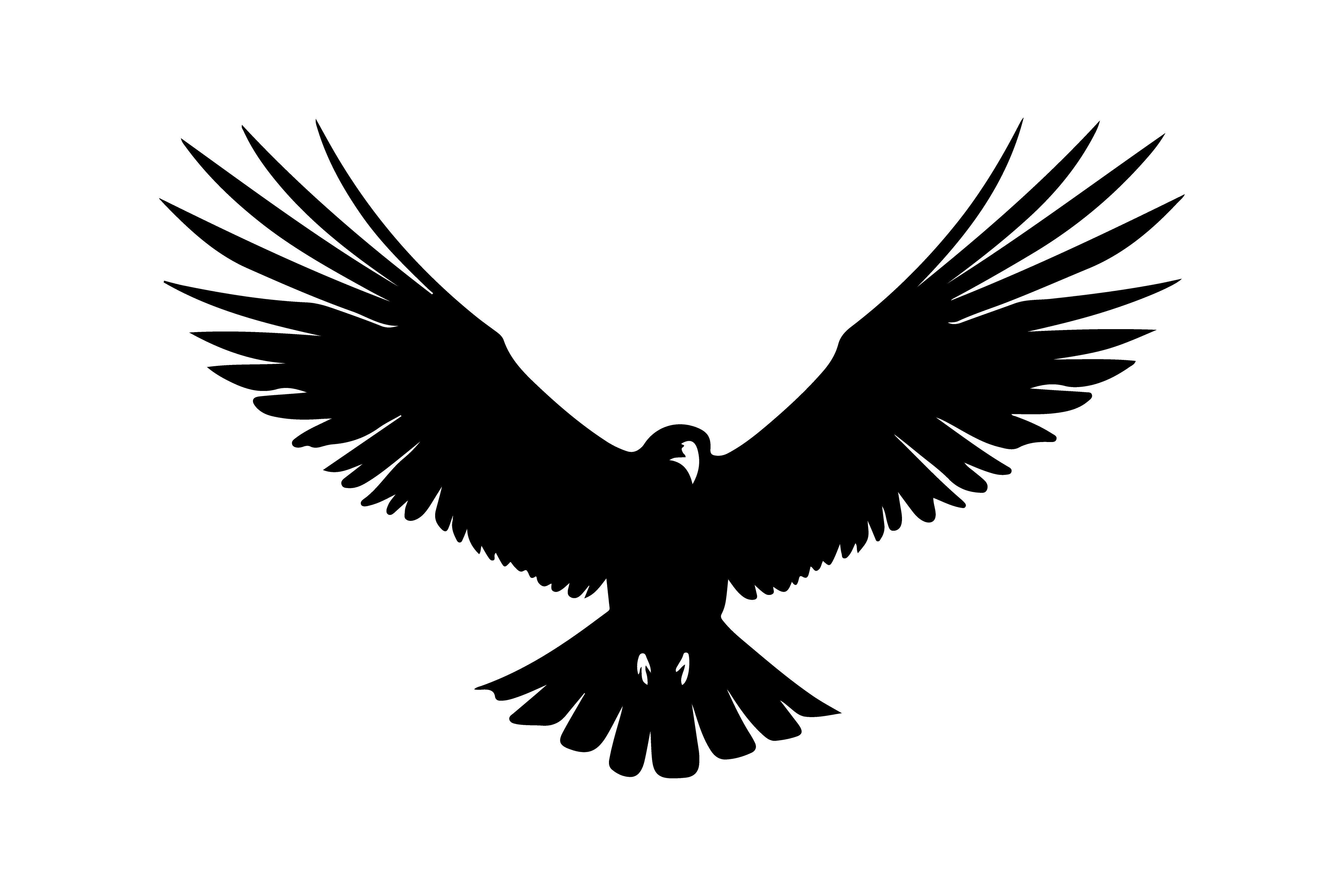 Silhouette of a Condor Vector Illustrati Graphic by fijulanam468 ...