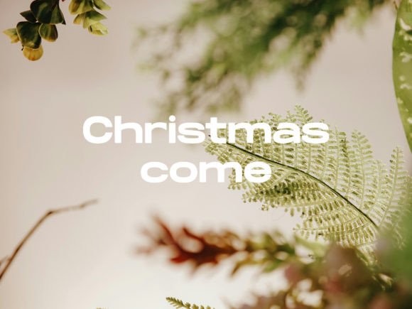 Galatia Font PNG with transparent background - Preview 5