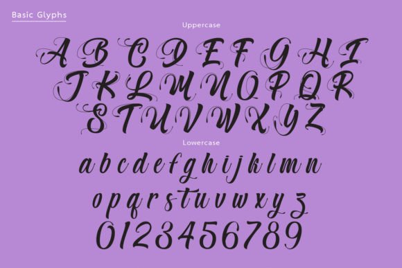 Mister Grape Font PNG with transparent background - Preview 2