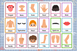 Parts of the Body Flashcards for Kids Graphic by Creative Zone ...