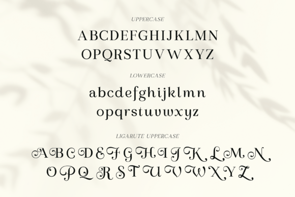 Regal Legacy Font PNG with transparent background - Preview 1