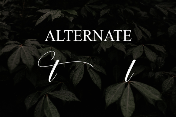 Aesthetic Font - Preview 6