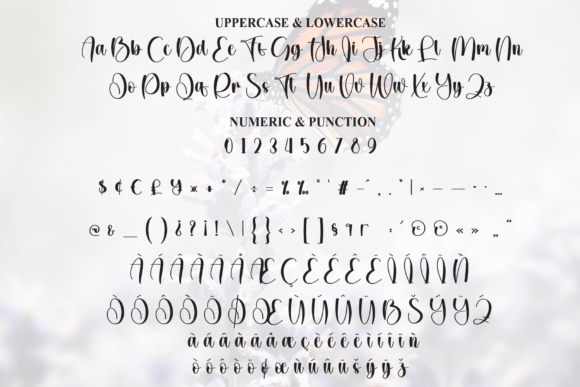 Christmas Butterfly Font - Preview 6