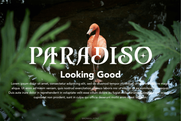 Bronsul Font - Preview 2