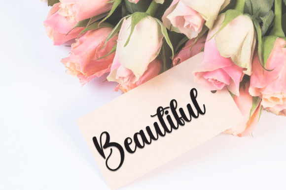 Butterfly Font - Preview 4