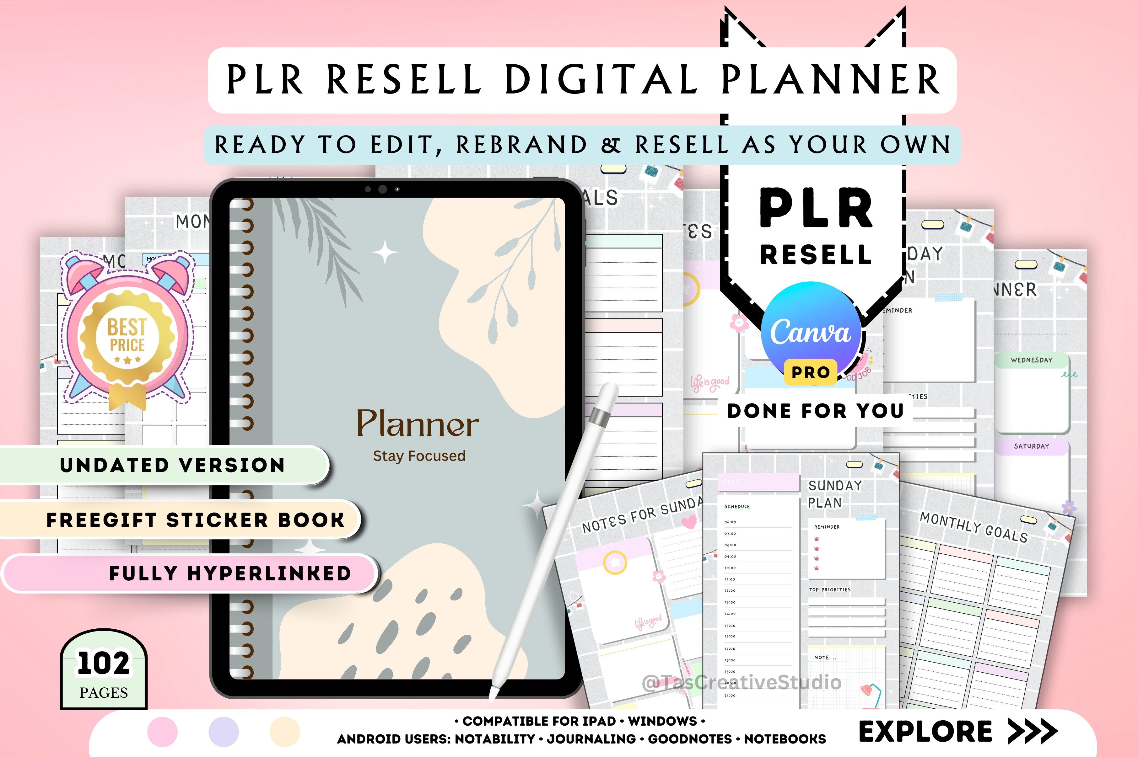 Customizable PLR Canva Planner Pack