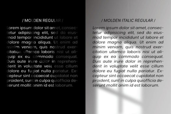 Molden Italic Font PNG with transparent background - Preview 5