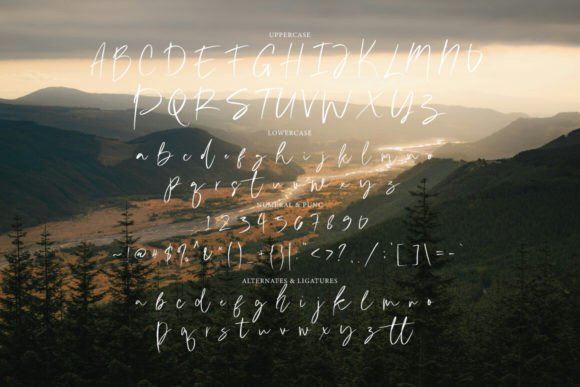 Bright Purple Font - Preview 3