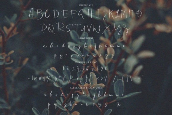 Mishella Signature Font font preview - 3
