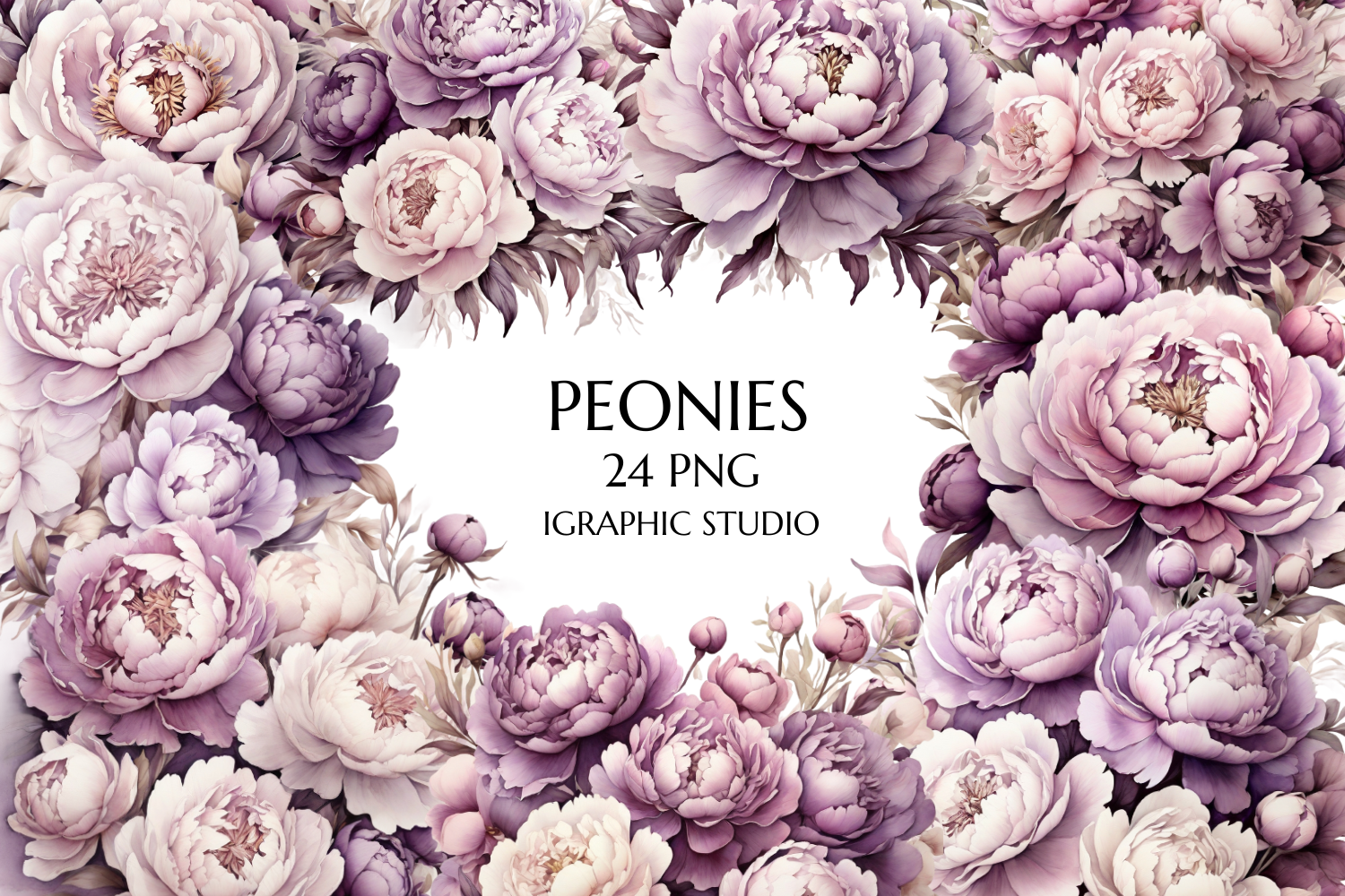 Purple Peony Clipart, Wedding Clipart