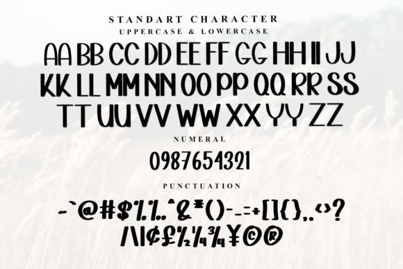 Boho Notes Font - Preview 4