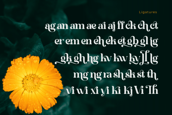 Bright Vintage Font PNG with transparent background - Preview 3