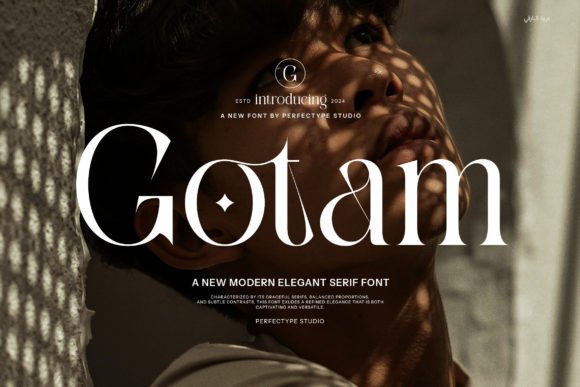Gotam Serif Font By Perfectype