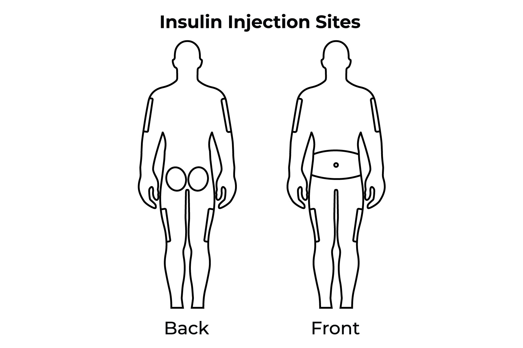 Insulin Injection Sites Science Design Graphic by hamjaiu · Creative ...