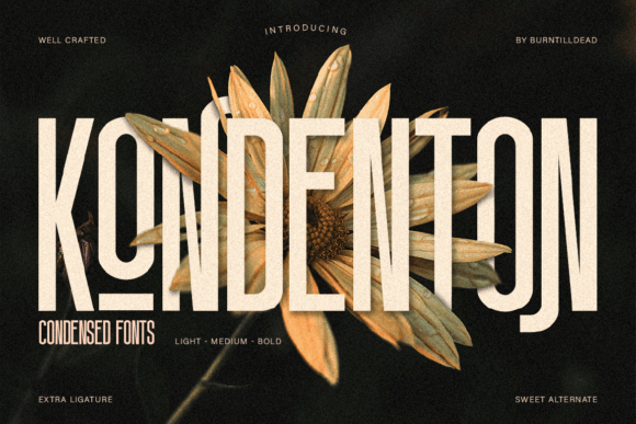 Kondenton Font PNG with transparent background - Preview 1