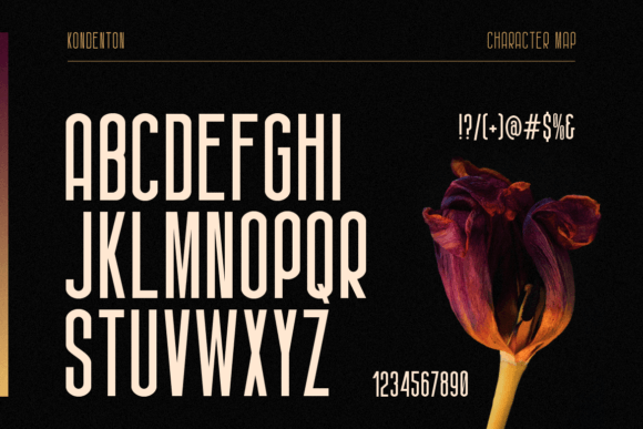 Kondenton Font PNG with transparent background - Preview 2