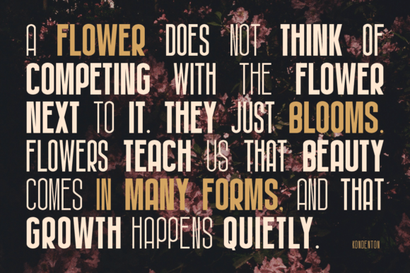 Kondenton Font PNG with transparent background - Preview 4