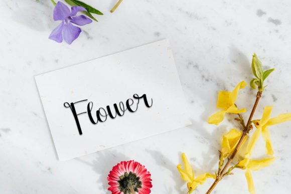 Rolinka Font PNG with transparent background - Preview 3