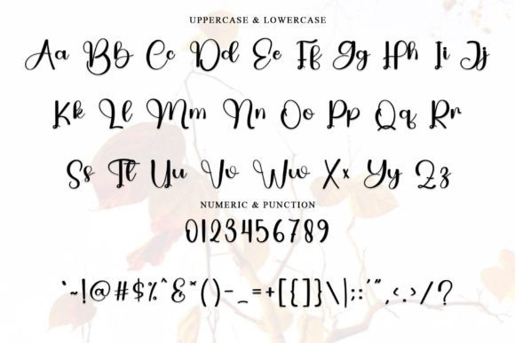 Autumn September Font - Preview 4