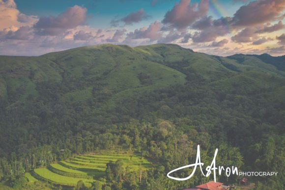 Amotta Ragenta Font - Preview 2