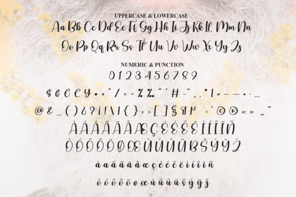 Beardsons Font - Preview 6