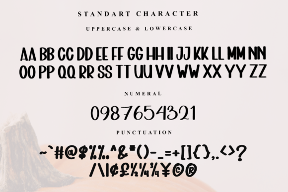 Bold Vintage Font - Preview 4