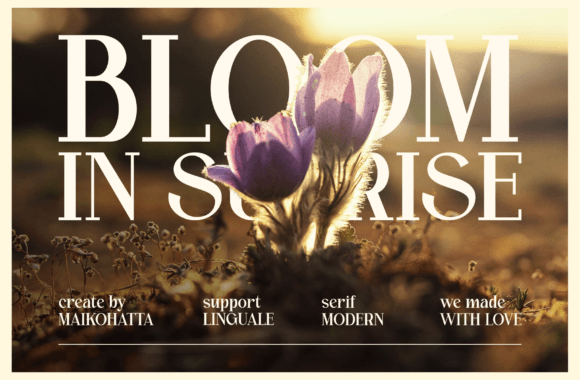 Calvine Font - Preview 1
