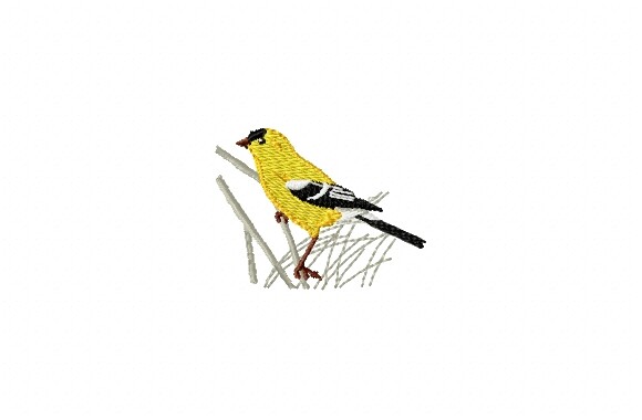 Yellow Bird