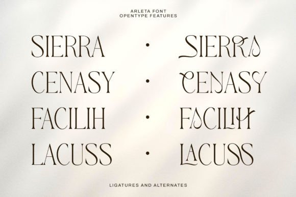 Arleta Font - Preview 5