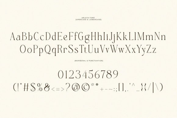 Arleta Font - Preview 6