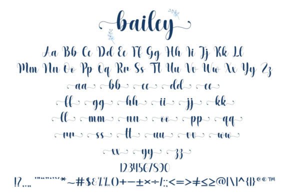 Bailey Font - Preview 6