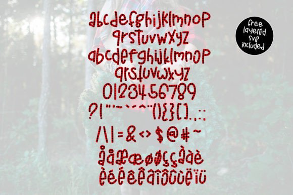 Buffalo Jane Font - Preview 4