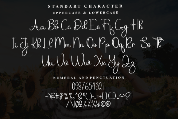 Hello Baseball Font PNG with transparent background - Preview 4