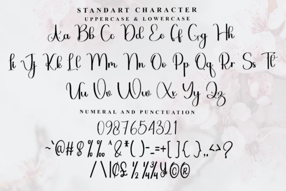 Anabel Christmas Font - Preview 4