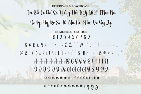 Dayton Font - Preview 6