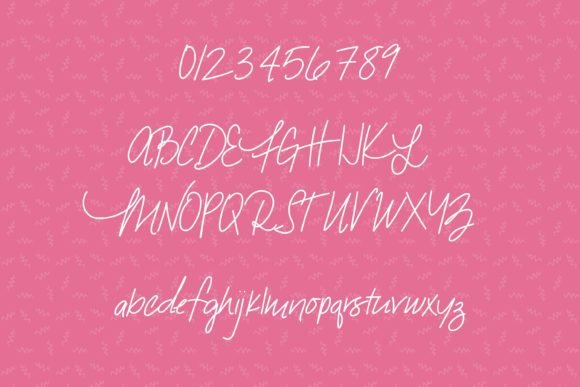 Snarky Flamingo Font font preview - 1