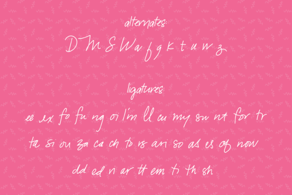 Snarky Flamingo Font font preview - 3