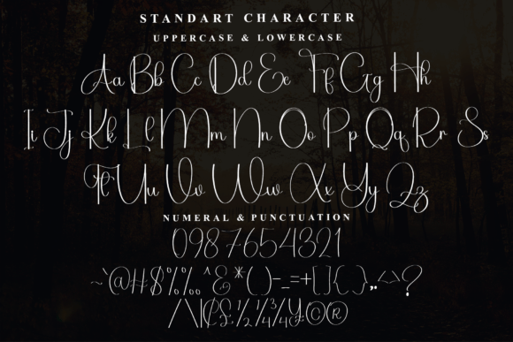 Always Font - Preview 4