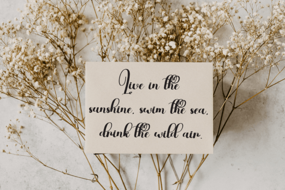 Bridgerton Font - Preview 2