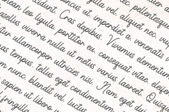 Brielle Script Font - Preview 3