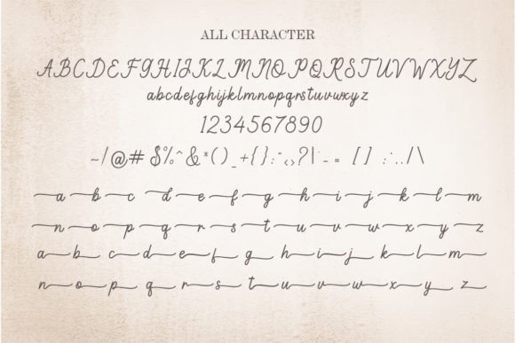 Brielle Script Font - Preview 4