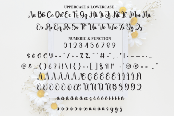 Daisy Font - Preview 6