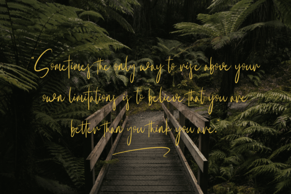 Holly Stroke Font PNG with transparent background - Preview 5