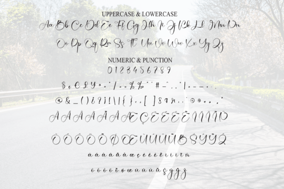 Country Font - Preview 6