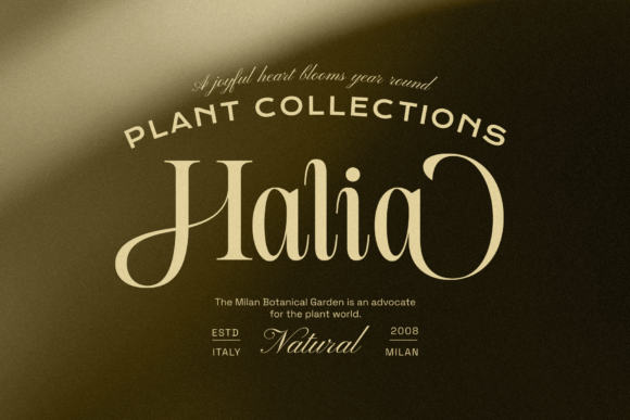 Moncheur Havens Font PNG with transparent background - Preview 1
