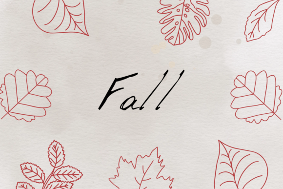 Leaf Thanksgiving Font PNG with transparent background - Preview 5