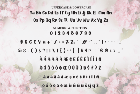 Angista Font - Preview 6